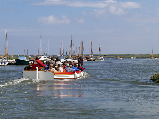 Seal Pups on Blakeney Point, Blakeney Point, North Norfolk Coast | The perfect activity while staying at Deepdale - Take a boat trip to see the seal pups in their natural environment basking on Blakeney Point | trips. pups. blakeney, point, north norfolk coast, seals